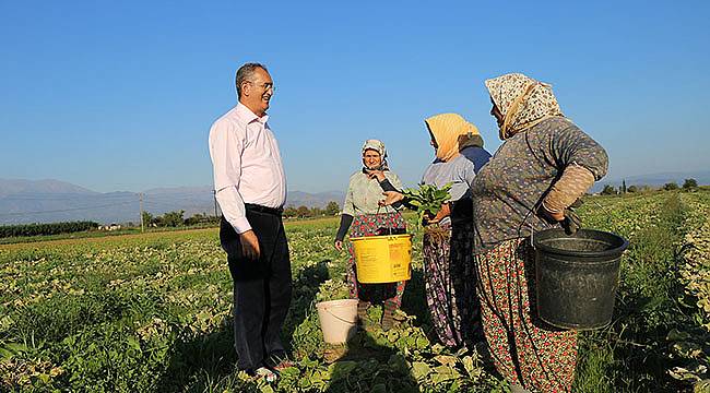 Sertel: Fakıbaba’yı 'Faka' Bastırdılar!