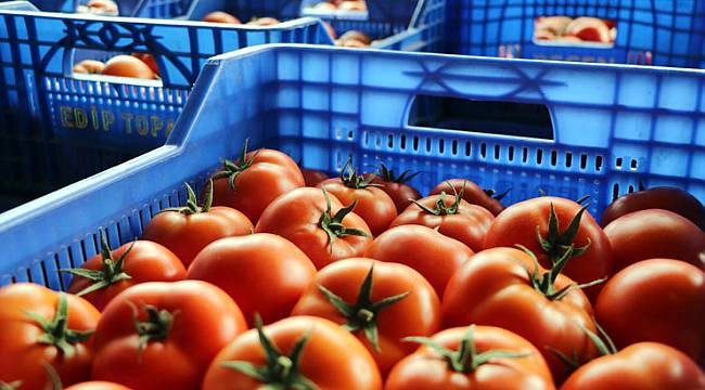 Stoklar Bitinceye Kadar: Meyve-Sebzede Zehirli Ürünler İç Pazara Sunuluyor