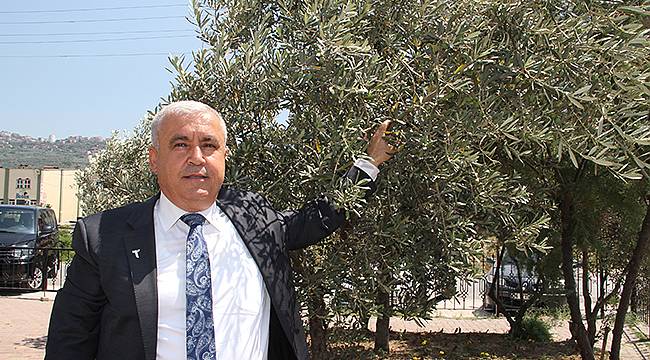 Zeytincilik Sektörü Gemlik'te Buluştu