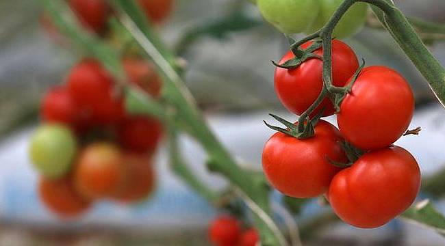 Enflasyon Ağustos'ta Yeniden Çift Hanede