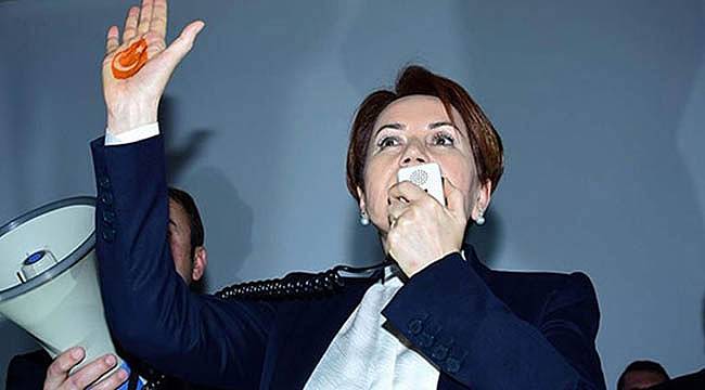 Meral Akşener'in Kuracağı Partinin logosu Belli Oldu