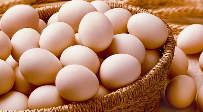 Türkiye'de Zehirli Yumurta mı Bulundu?