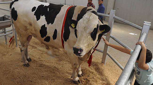 Türkiye’nin Hayvancılık Fuarı Afyon’da Start Aldı
