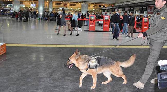 Avusturya’dan Sonra Almanya’ya da Köpekle Arama Misillemesi