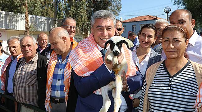 Büyükşehir Güzelbahçe'de Koç ve Koyun Dağıttı