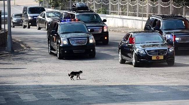 Cumhurbaşkanlığı Sarayı'nda Kaç Araç Var