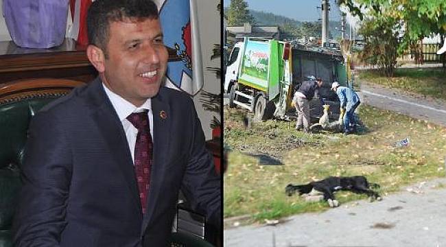 Gündüz hayvansever, gece katliamcı... AKP'li başkan suçüstü yakalandı