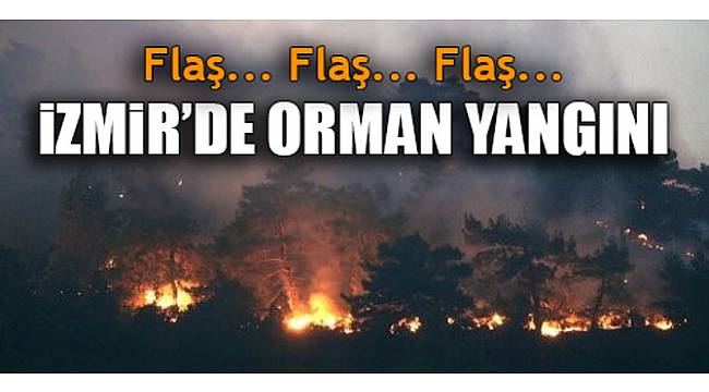 İzmir'de orman yangını