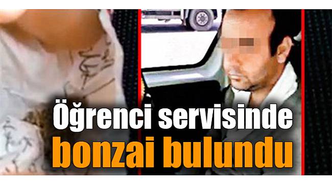 Öğrenci servisinde bonzai bulundu