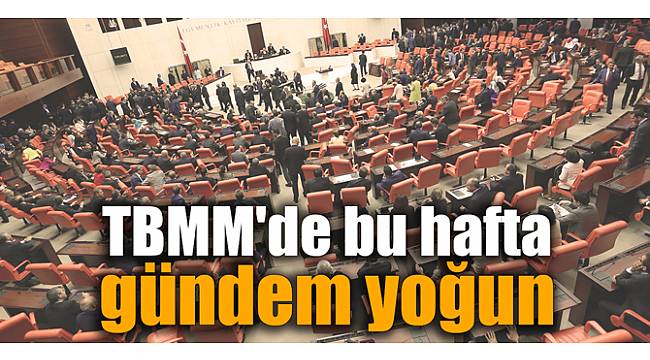 TBMM'de bu hafta gündem yoğun