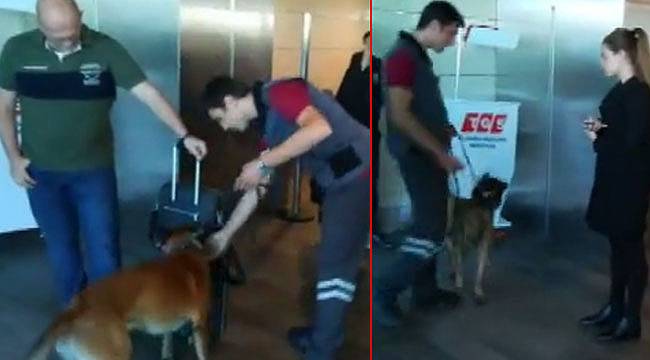 Türk Yolcuların Köpekle Aranmasına Misilleme