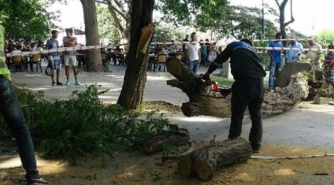 Yeni Şafak Yazarından Erdoğan'a 'İstanbul' Çağrısı: Kalan Yeşil Alanları Korumanıza Alın