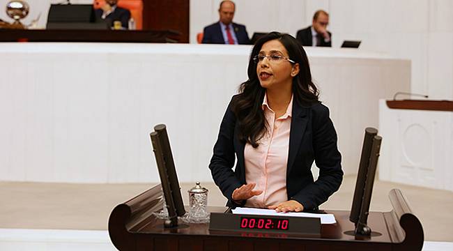 CHP'li Yedekci: İktidar Vatandaşın Değil Yandaşın Yararı İçin Çalışıyor