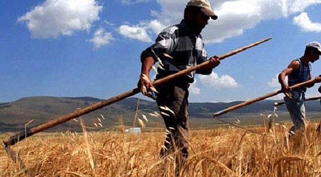 Gürer Sordu, Bakan Fakıbaba Açıkladı: 6 Bin 609 Çiftçi İcralık