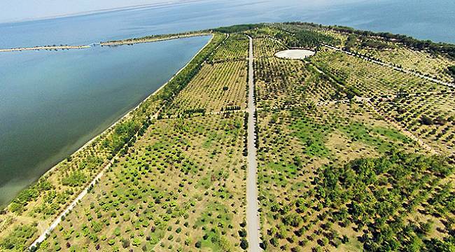 İzmir'de Gündem 'İklim Değişikliği'