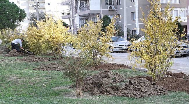 Karşıyaka’nın parkları ‘nar ağacı’ ile süslendi