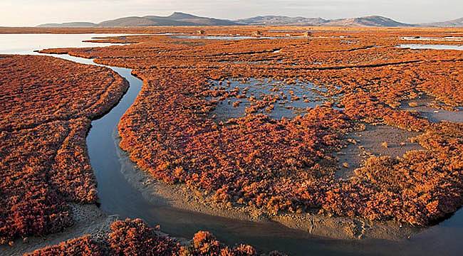 Balbay: Gediz Deltası UNESCO Dünya Mirasını Hak Ediyor