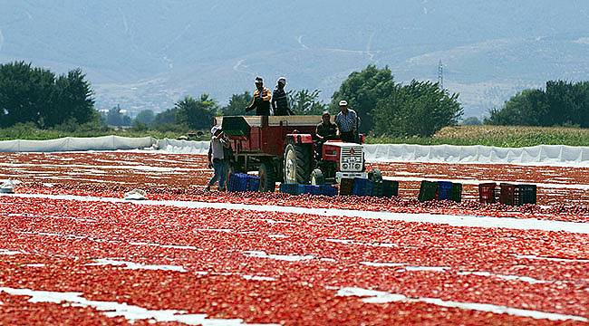 Çiftçiye Her Yıl 62 Milyon Lira Ek Gelir