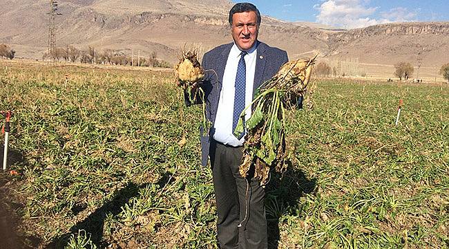 Gürer: Şeker Pancarında Kota Çiftçiyi Vurdu