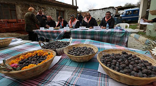 Güzelbahçe’de Zeytin Şenliği