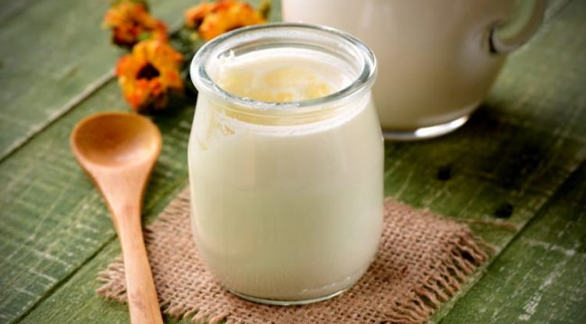 Her Gün Bir Bardağı Kanseri Önlüyor! Kefir nasıl Yapılır?