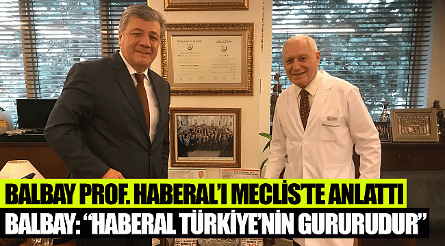 BALBAY PROF. HABERAL'I MECLİS'TE ANLATTI