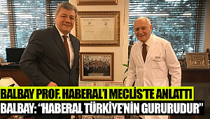 BALBAY PROF. HABERAL'I MECLİS'TE ANLATTI