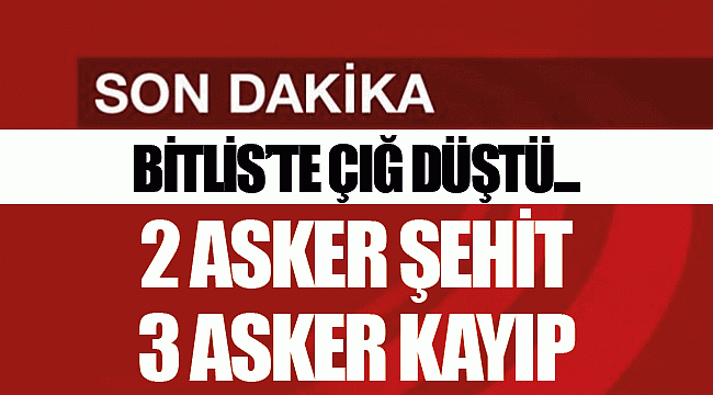 BİTLİS'TE ÇIĞ DÜŞTÜ...