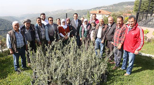Bornova Bamyası ve Misket Üzümü tescilleniyor