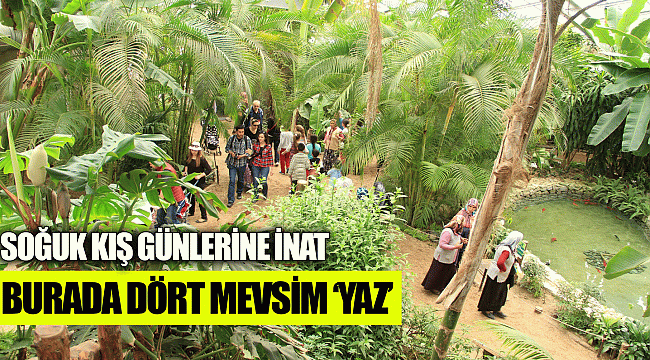 Burada dört mevsim ‘yaz’