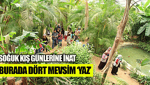 Burada dört mevsim ‘yaz’