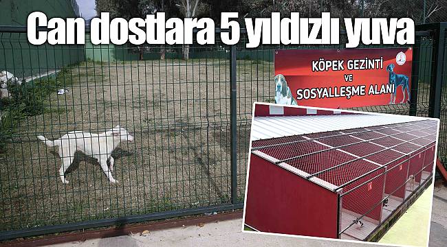 Can dostlara 5 yıldızlı yuva