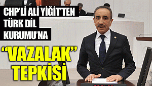 CHP’Lİ ALİ YİĞİT’TEN TÜRK DİL KURUMU’NA  “VAZALAK” TEPKİSİ