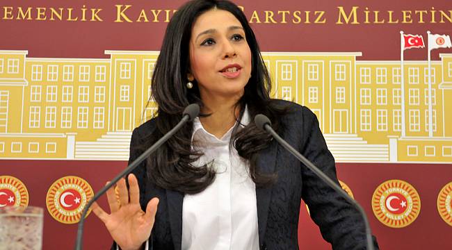CHP’Lİ YEDEKCİ’DEN SOKAK HAYVANLARINA VAHŞETİ BİTİRECEK TEKLİF