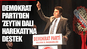 Demokrat Parti'den 'Zeytin Dalı Harekatı'na destek