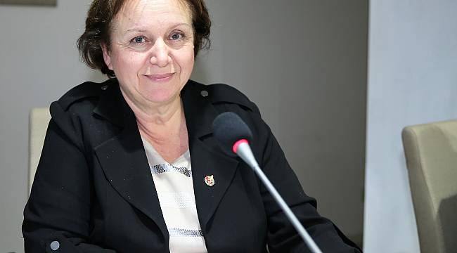 Dikmen: Gazetecilerin en büyük sorunu işsizlik ve tutuklamalar
