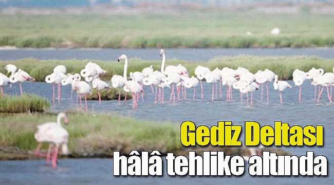 Gediz Deltası hâlâ tehlike altında
