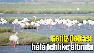 Gediz Deltası hâlâ tehlike altında