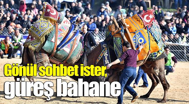 Gönül sohbet ister, güreş bahane