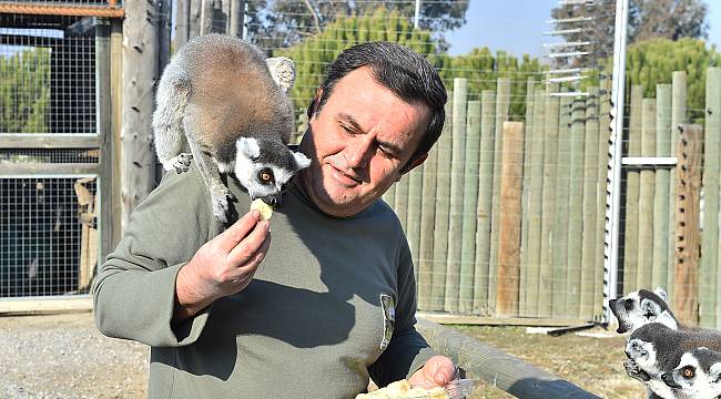 "İncirin hastasıyız"