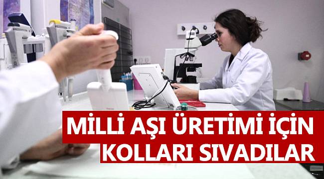 Milli aşı üretimi için kolları sıvadı