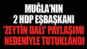 Muğla'nın 2 HDP Eşbaşkanı 'Zeytin Dalı' paylaşımı nedeniyle tutuklandı
