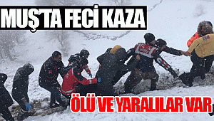 Muş'ta feci kaza...Ölü ve yaralılar var
