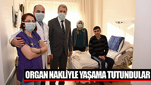 Organ nakliyle yaşama tutundular