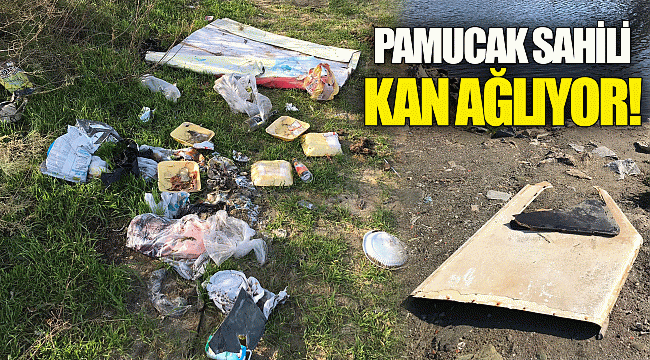 Pamucak Sahili kan ağlıyor!