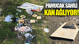 Pamucak Sahili kan ağlıyor!
