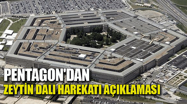 Pentagon'dan Zeytin Dalı Harekatı açıklaması