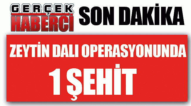 TSK açıkladı, Zeytin Dalı Harekatı'nda 1 asker şehit oldu