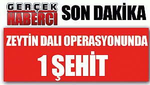 TSK açıkladı, Zeytin Dalı Harekatı'nda 1 asker şehit oldu