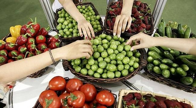 Türkiye'nin organik ürünler ihracatının yüzde 74'ü Ege Bölgesi'nden yapıldı